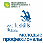 Молодые профессионалы (Worldskills Russia)