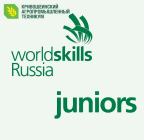 WorldSkills Junior