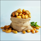 «Праздник картошки»