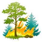 Правила пожарной безопасности в лесу