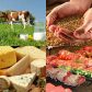 Конкурс мастерства