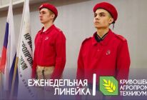 Еженедельная линейка