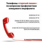 Горячая линия