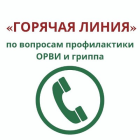 «Горячая линия» по профилактике гриппа и ОРВИ заработала в Роспотребнадзоре.