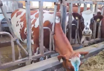 Будущее за натуральными продуктами! Станьте технологом пищевого производства. Ждём вас с 20 июня