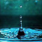 День охраны водоемов