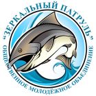 «Зеркальный патруль»