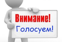 ИНТЕРНЕТ - ГОЛОСОВАНИЕ
