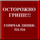 ОСТОРОЖНО ГРИПП!