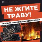 Весна без огня: берегите природу от пожаров!
